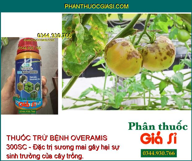 THUỐC TRỪ BỆNH OVERAMIS 300SC - Đặc Trị Các Loại Nấm Gây Hại - Đốm Đen - Sương Mai - Thán Thư