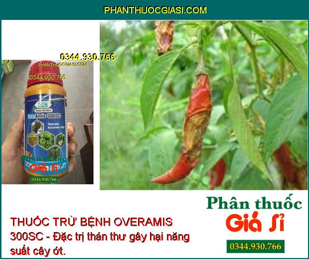 THUỐC TRỪ BỆNH OVERAMIS 300SC - Đặc Trị Các Loại Nấm Gây Hại - Đốm Đen - Sương Mai - Thán Thư