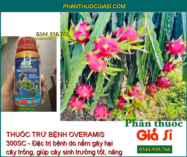 THUỐC TRỪ BỆNH OVERAMIS 300SC - Đặc Trị Các Loại Nấm Gây Hại - Đốm Đen - Sương Mai - Thán Thư