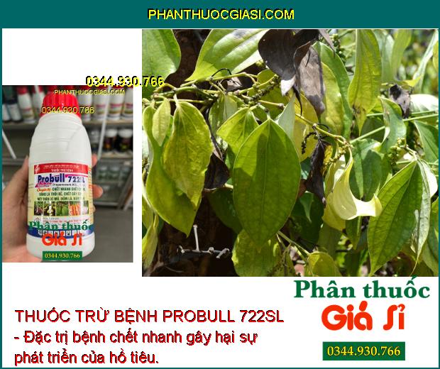 THUỐC TRỪ BỆNH PROBULL 722SL - Đặc Trị Tuyến Trùng - Chết Nhanh Chết Chậm - Thối Rễ - Nứt Thân Xì Mủ