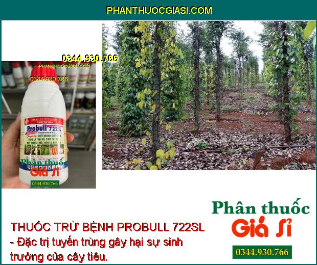 THUỐC TRỪ BỆNH PROBULL 722SL - Đặc Trị Tuyến Trùng - Chết Nhanh Chết Chậm - Thối Rễ - Nứt Thân Xì Mủ