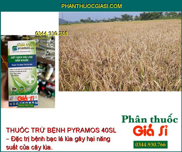 THUỐC TRỪ BỆNH PYRAMOS 40SL – Đặc Trị Các Loại Nấm Bệnh - Bạc Lá Trên Lúa