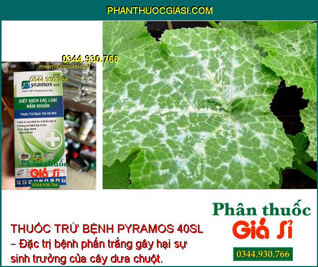 THUỐC TRỪ BỆNH PYRAMOS 40SL – Đặc Trị Các Loại Nấm Bệnh - Bạc Lá Trên Lúa