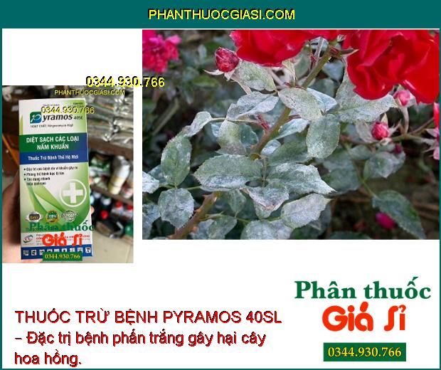 THUỐC TRỪ BỆNH PYRAMOS 40SL – Đặc Trị Các Loại Nấm Bệnh - Bạc Lá Trên Lúa