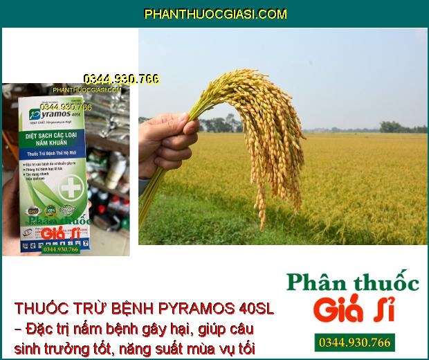 THUỐC TRỪ BỆNH PYRAMOS 40SL – Đặc Trị Các Loại Nấm Bệnh - Bạc Lá Trên Lúa