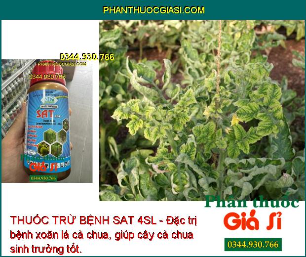 THUỐC TRỪ BỆNH SAT 4SL - Đặc Trị Bệnh Nấm Bệnh - Vi Khuẩn - Sương Mai - Thán Thư