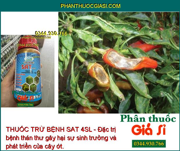 THUỐC TRỪ BỆNH SAT 4SL - Đặc Trị Bệnh Nấm Bệnh - Vi Khuẩn - Sương Mai - Thán Thư