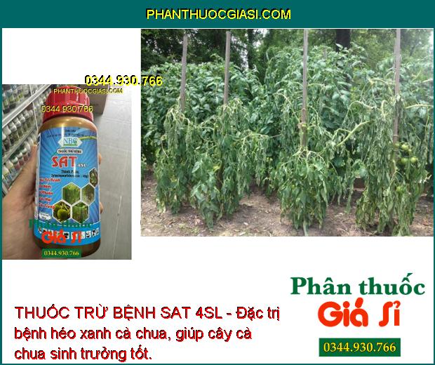 THUỐC TRỪ BỆNH SAT 4SL - Đặc Trị Bệnh Nấm Bệnh - Vi Khuẩn - Sương Mai - Thán Thư