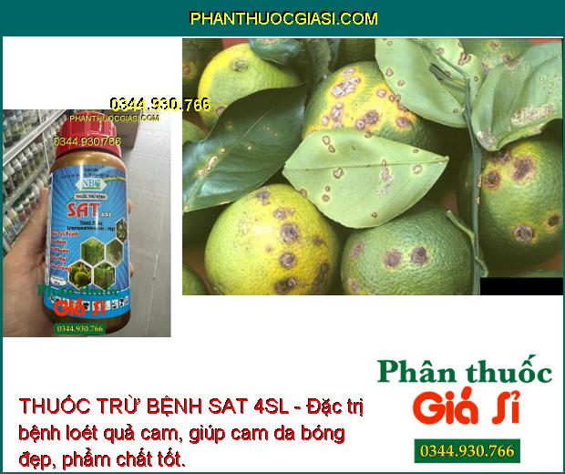 THUỐC TRỪ BỆNH SAT 4SL - Đặc Trị Bệnh Nấm Bệnh - Vi Khuẩn - Sương Mai - Thán Thư