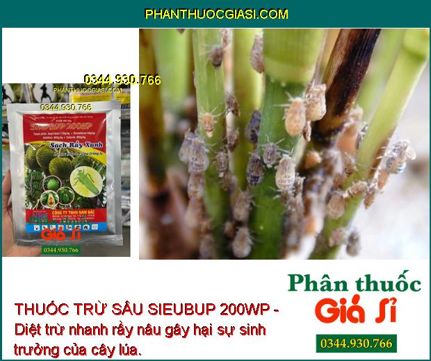 THUỐC TRỪ SÂU SIEUBUP 200WP - Diệt Nhanh Rầy Non Và Rầy Trưởng Thành