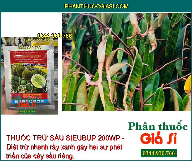 THUỐC TRỪ SÂU SIEUBUP 200WP - Diệt Nhanh Rầy Non Và Rầy Trưởng Thành