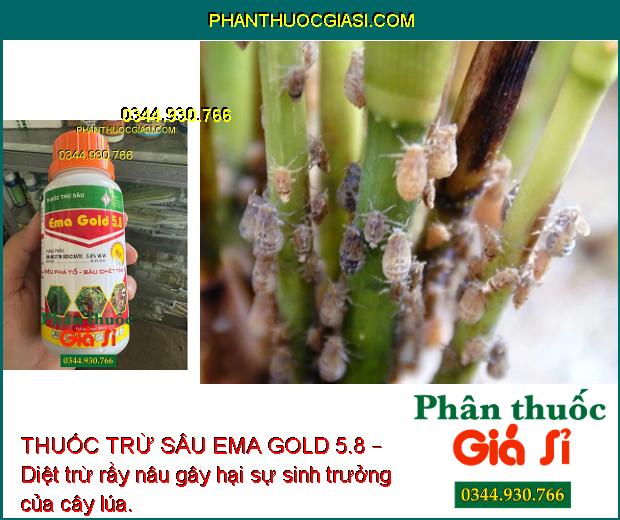 THUỐC TRỪ SÂU EMA GOLD 5.8 – Diệt trừ sâu rầy gây hại cây trồng, giúp cây sinh trưởng tốt, năng suất mùa vụ tối ưu.