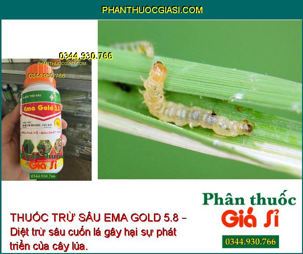 THUỐC TRỪ SÂU EMA GOLD 5.8 – Diệt trừ sâu rầy gây hại cây trồng, giúp cây sinh trưởng tốt, năng suất mùa vụ tối ưu.