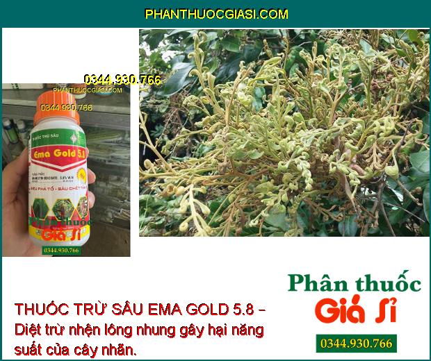 THUỐC TRỪ SÂU EMA GOLD 5.8 – Diệt trừ sâu rầy gây hại cây trồng, giúp cây sinh trưởng tốt, năng suất mùa vụ tối ưu.