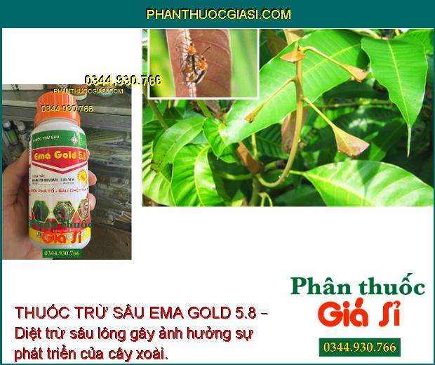 THUỐC TRỪ SÂU EMA GOLD 5.8 – Diệt trừ sâu rầy gây hại cây trồng, giúp cây sinh trưởng tốt, năng suất mùa vụ tối ưu.