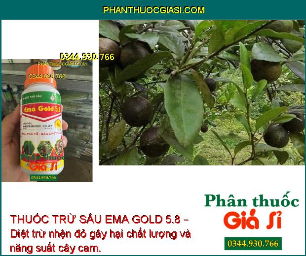 THUỐC TRỪ SÂU EMA GOLD 5.8 – Diệt trừ sâu rầy gây hại cây trồng, giúp cây sinh trưởng tốt, năng suất mùa vụ tối ưu.