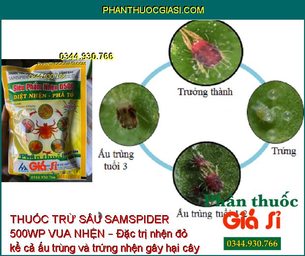 THUỐC TRỪ SÂU SAMSPIDER 500WP VUA NHỆN – ĐẶC TRỊ NHỆN ĐỎ HẠI CÂY