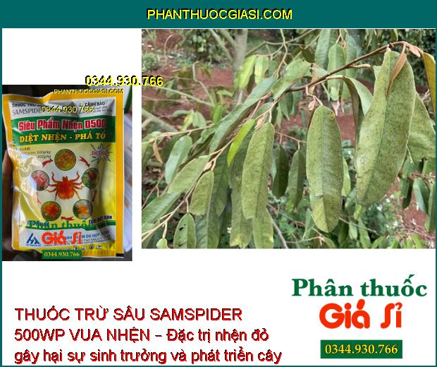 THUỐC TRỪ SÂU SAMSPIDER 500WP VUA NHỆN – ĐẶC TRỊ NHỆN ĐỎ HẠI CÂY