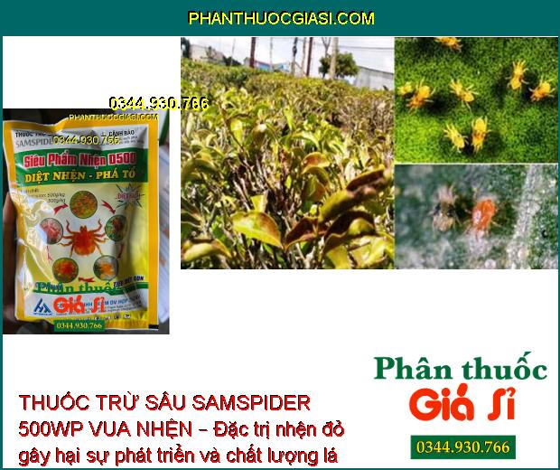 THUỐC TRỪ SÂU SAMSPIDER 500WP VUA NHỆN – ĐẶC TRỊ NHỆN ĐỎ HẠI CÂY