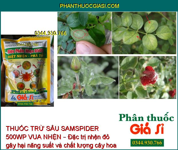 THUỐC TRỪ SÂU SAMSPIDER 500WP VUA NHỆN – ĐẶC TRỊ NHỆN ĐỎ HẠI CÂY