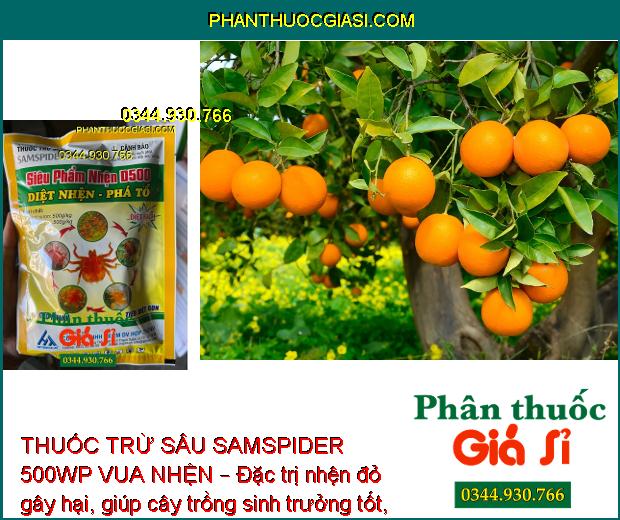 THUỐC TRỪ SÂU SAMSPIDER 500WP VUA NHỆN – ĐẶC TRỊ NHỆN ĐỎ HẠI CÂY