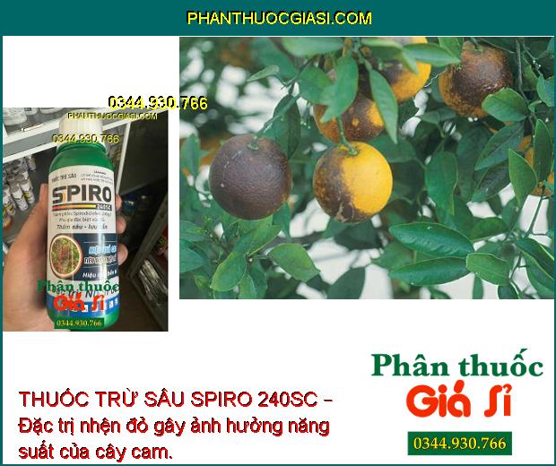 THUỐC TRỪ SÂU SPIRO 240SC – Đặc Trị Nhện Đỏ Hiệu Quả Cao - Kéo Dài