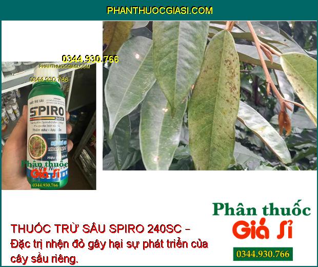 THUỐC TRỪ SÂU SPIRO 240SC – Đặc Trị Nhện Đỏ Hiệu Quả Cao - Kéo Dài