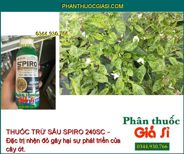 THUỐC TRỪ SÂU SPIRO 240SC – Đặc Trị Nhện Đỏ Hiệu Quả Cao - Kéo Dài