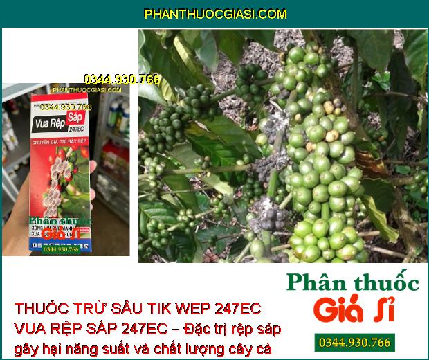 THUỐC TRỪ SÂU TIK WEP 247EC VUA RỆP SÁP 247EC – Đặc Trị Rầy Nâu Hại Lúa - Rệp Sáp Hại Cà Phê