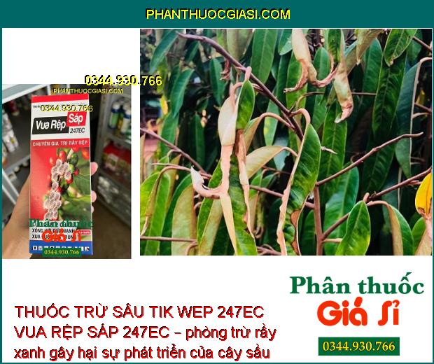 THUỐC TRỪ SÂU TIK WEP 247EC VUA RỆP SÁP 247EC – Đặc Trị Rầy Nâu Hại Lúa - Rệp Sáp Hại Cà Phê