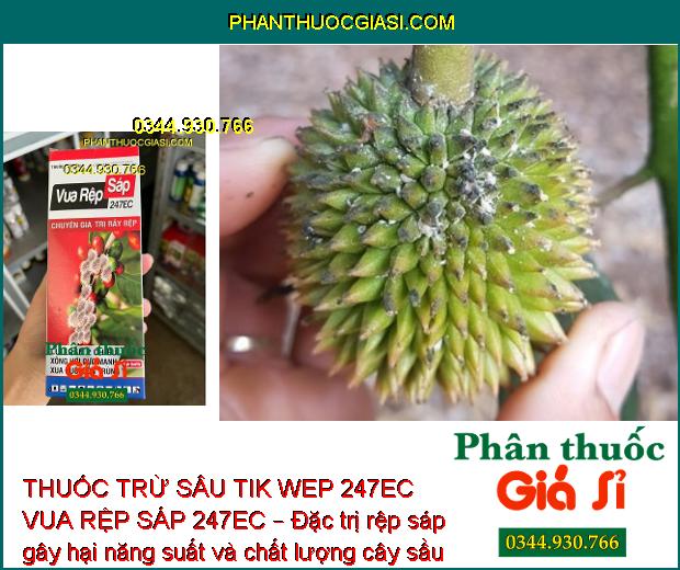 THUỐC TRỪ SÂU TIK WEP 247EC VUA RỆP SÁP 247EC – Đặc Trị Rầy Nâu Hại Lúa - Rệp Sáp Hại Cà Phê