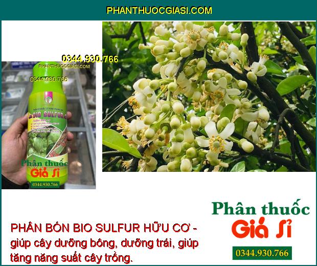 PHÂN BÓN BIO SULFUR HỮU CƠ -Phòng Trừ Phấn Trắng - Côn Trùng - Mát Bông - Dưỡng Cây