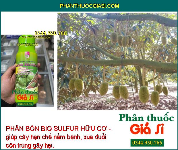 PHÂN BÓN BIO SULFUR HỮU CƠ -Phòng Trừ Phấn Trắng - Côn Trùng - Mát Bông - Dưỡng Cây