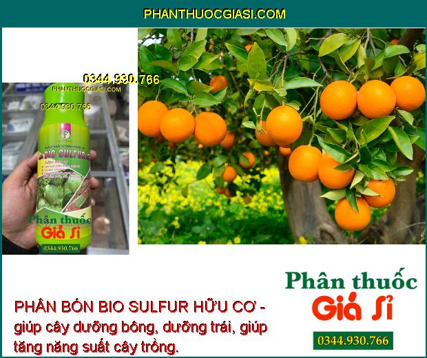 PHÂN BÓN BIO SULFUR HỮU CƠ -Phòng Trừ Phấn Trắng - Côn Trùng - Mát Bông - Dưỡng Cây