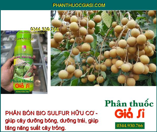 PHÂN BÓN BIO SULFUR HỮU CƠ -Phòng Trừ Phấn Trắng - Côn Trùng - Mát Bông - Dưỡng Cây