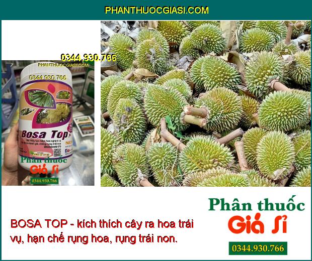 BOSA TOP - Tạo Mầm Hoa Nghịch Vụ- Chống Rụng Trái Non- Tăng Năng Suất