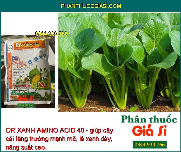 DR XANH AMINO ACID 40 - Xanh Cây Dày Lá - Điều Hòa Sinh Trưởng