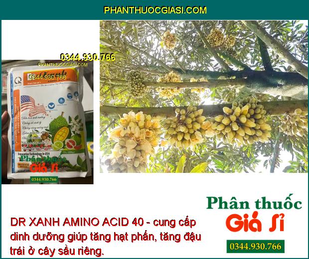 DR XANH AMINO ACID 40 - Xanh Cây Dày Lá - Điều Hòa Sinh Trưởng