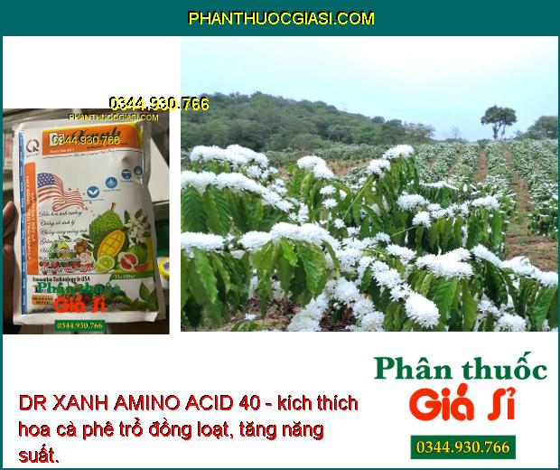 DR XANH AMINO ACID 40 - Xanh Cây Dày Lá - Điều Hòa Sinh Trưởng