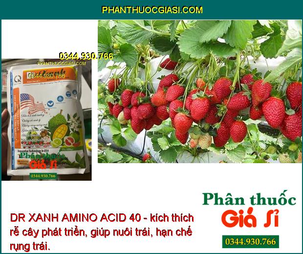 DR XANH AMINO ACID 40 - Xanh Cây Dày Lá - Điều Hòa Sinh Trưởng