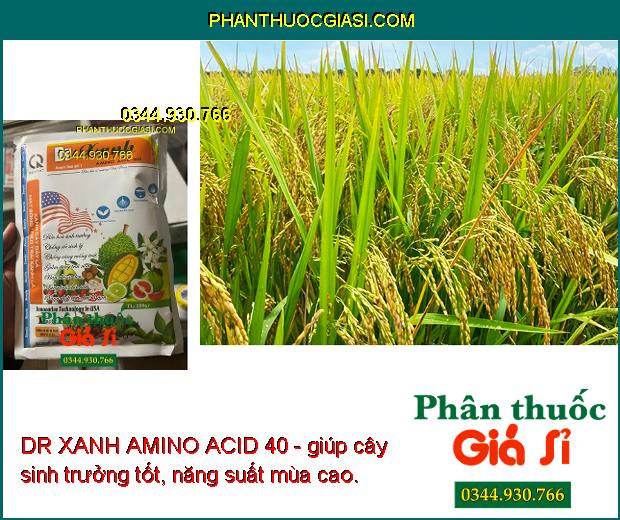 DR XANH AMINO ACID 40 - Xanh Cây Dày Lá - Điều Hòa Sinh Trưởng