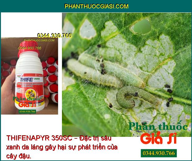 THIFENAPYR 350SC – Đặc trị các loại sâu gây hại, giúp cây trồng sinh trưởng tốt, năng suất mùa vụ cao.