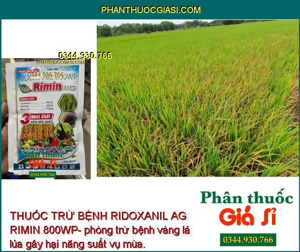 THUỐC TRỪ BỆNH RIDOXANIL AG RIMIN 800WP- ĐẶC TRỊ NẤM BỆNH 