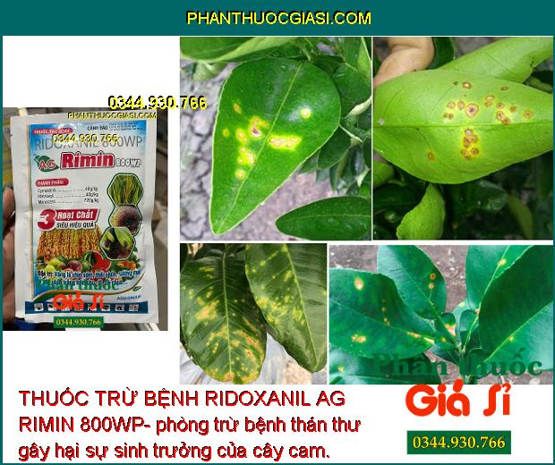 THUỐC TRỪ BỆNH RIDOXANIL AG RIMIN 800WP- ĐẶC TRỊ NẤM BỆNH 