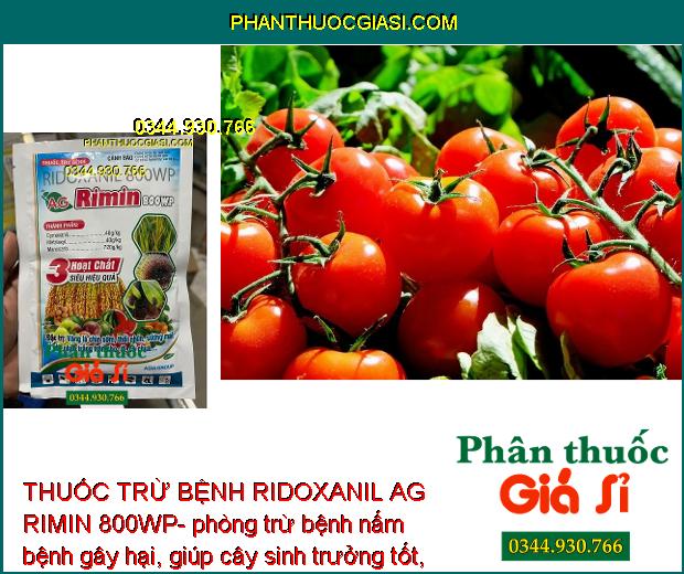 THUỐC TRỪ BỆNH RIDOXANIL AG RIMIN 800WP- ĐẶC TRỊ NẤM BỆNH 