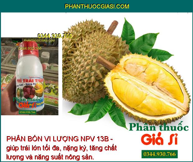 PHÂN BÓN VI LƯỢNG NPV 13B - Trái Lớn Tối Đa - Tăng Độ Ngọt - Nặng Ký