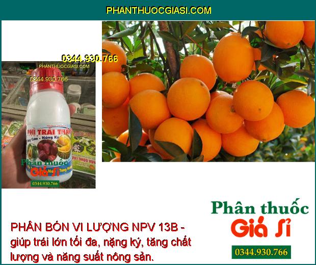 PHÂN BÓN VI LƯỢNG NPV 13B - Trái Lớn Tối Đa - Tăng Độ Ngọt - Nặng Ký