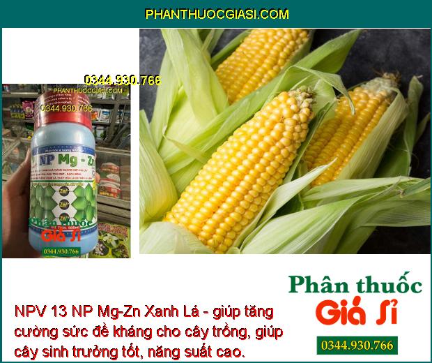 NPV 13 NP Mg-Zn Xanh Lá - Cứng Cây - Sáng Trái - Màu Trái Đẹp - Chống Vàng Lá