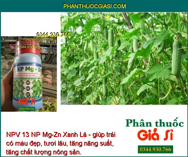 NPV 13 NP Mg-Zn Xanh Lá - Cứng Cây - Sáng Trái - Màu Trái Đẹp - Chống Vàng Lá