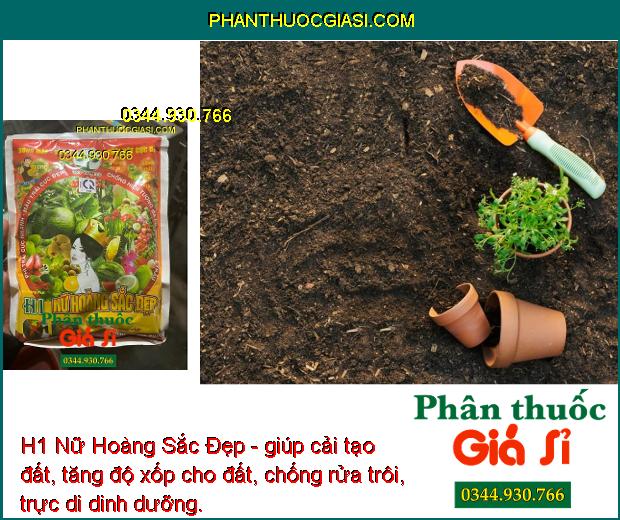 H1 Nữ Hoàng Sắc Đẹp- Phì Trái Nhanh - Màu Trái Đẹp - Mập Bông